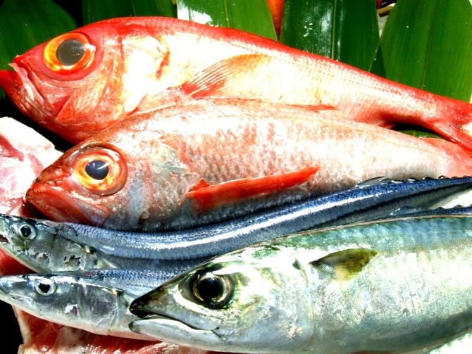 沼津 お魚ダイニング Hiro 沼津 居酒屋 ぐるなび