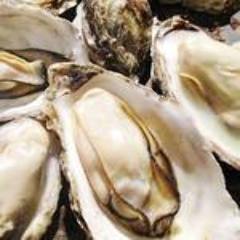 琉球海味焼酒場 〇上水産 