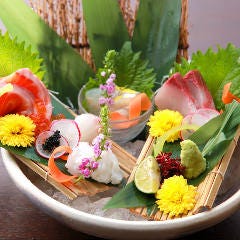 海鮮酒菜 げんげ JR八尾店