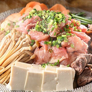 鮮魚とちゃんこ 白乃富士 洗足総本店