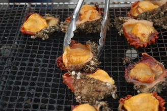 三陸天海のろばた メニュー 炉端焼き 酒肴 ぐるなび