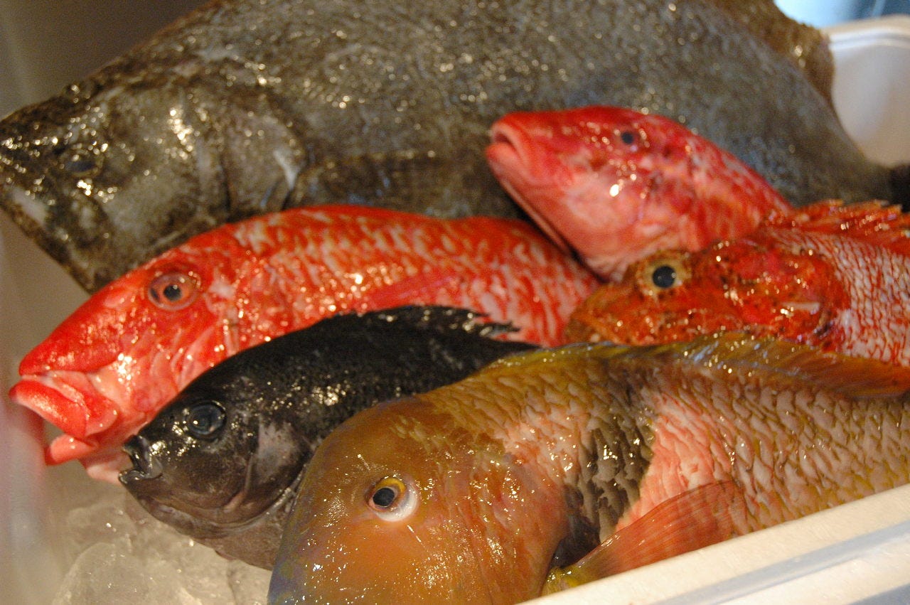 高知県宿毛漁港の鮮魚