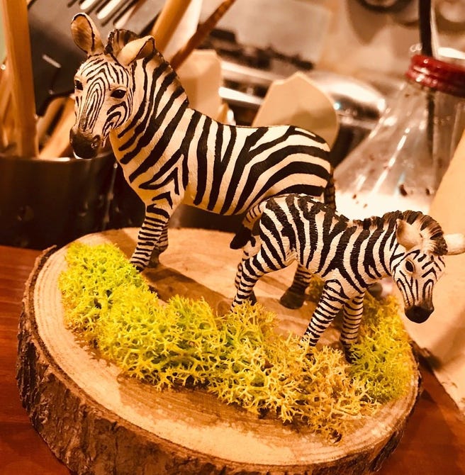 しまうまkitchen 浜松駅周辺 居酒屋 ぐるなび