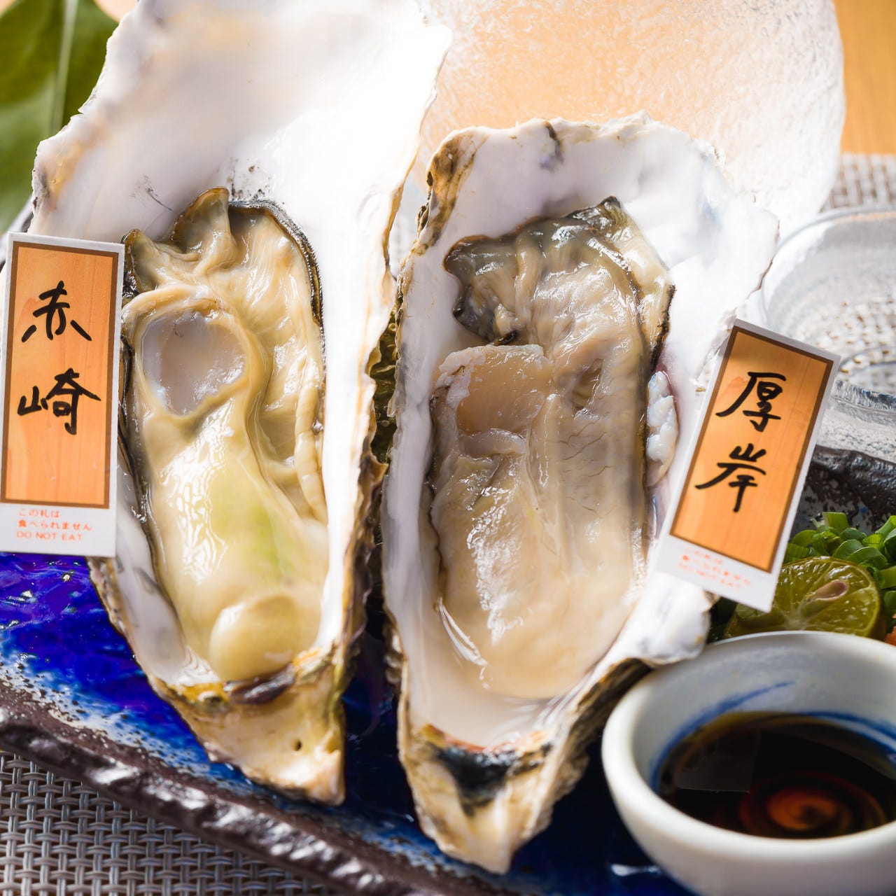 厚岸と赤崎の生牡蠣がお皿に並んでいる