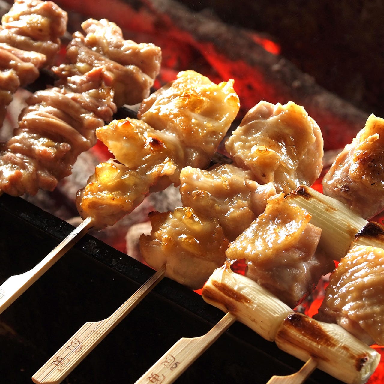 備長炭で焼き上げる 焼鳥コース みつせ鶏の焼き鳥をたっぷりご用意 の詳細 炭寅 神楽坂店 神楽坂 焼き鳥 ぐるなび