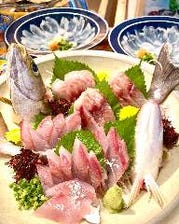 御前崎漁港直送の地魚