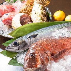 魚よし 地図 日吉 綱島 魚料理 ぐるなび