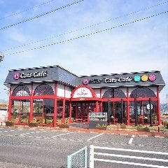 キャッツカフェ 各務原店