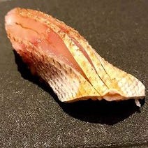 ［江戸前鮨 西麻布 接待］鮨 麻葉の画像