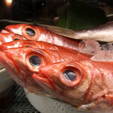 旨居酒家 武_旬の魚介、鮮度にこだわり！