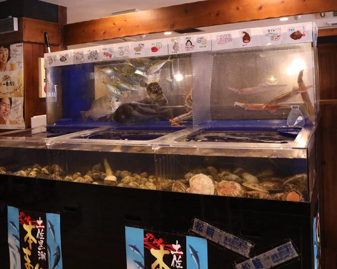 丘の魚火 ウォッカ 希望ヶ丘 二俣川 居酒屋 ぐるなび