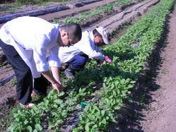 契約農家から直送の
旬の新鮮野菜を中心に使用しています。