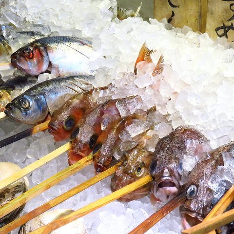 当店では漁港直送の鮮魚を使用した料理を多数ご用意しております