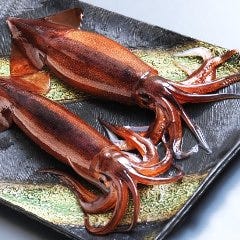 函館海鮮居酒屋 魚まさ 札幌すすきのF45店