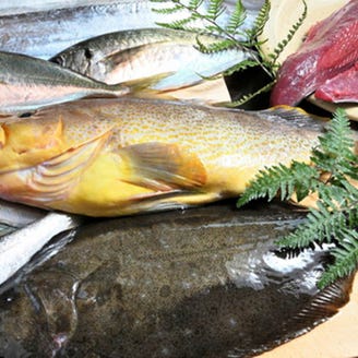 大宮で産地直送鮮魚 活牡蠣など新鮮で美味しい刺身が味わえるお店15選