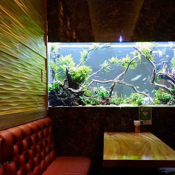 隠れ家イタリアン Aquarium Cafe Affinity 海老名 海老名 居酒屋 ぐるなび