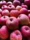 青森から自然農法りんごも取り寄せます。まさに奇跡の味！ご期待