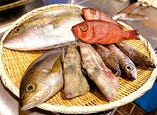 【五島列島】長崎 漁師直送魚のお刺身