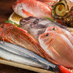 魚まみれ眞吉 恵比寿店 