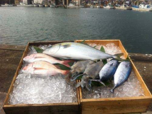 富山県氷見直送の鮮魚