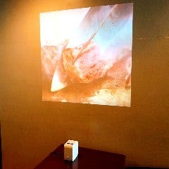 プロジェクター完備！スライドや動画を流せます！