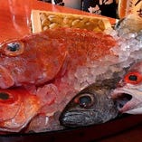 大阪ではなかなかお目にかかれない珍しい海鮮ものがてんこ盛り！