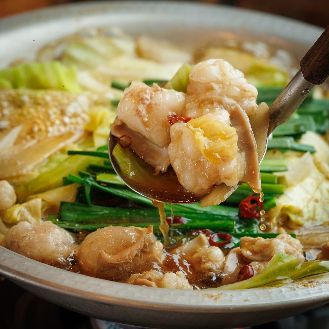 博多もつ鍋 馬肉 九州自慢 松江駅前店