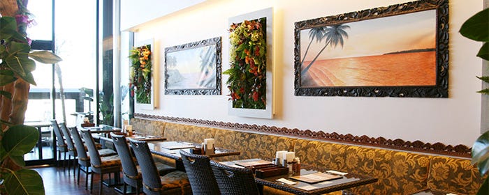 エスニックダイニング＆バー DIPPALACE 飯田橋サクラテラス店