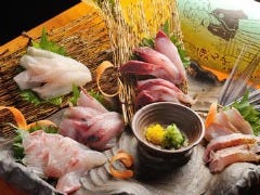 伊達酒場 強太朗