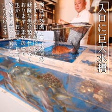 朝採れたての鮮魚や巨大水槽の魚を