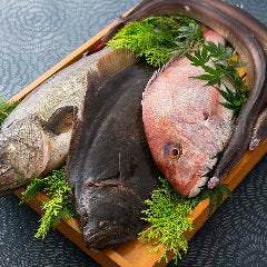 魚清