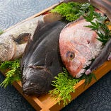 《漁港直送魚介》
福井県小浜漁港より鮮度抜群な魚介が届きます