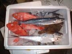 美味しいお店が見つかる 溝の口 魚料理 個室 おすすめ人気レストラン ぐるなび