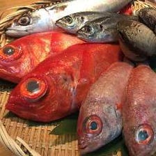 《鮮度》日本全国から届く新鮮なお魚