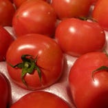 宮崎県から届くおいしいトマトです。12月～6月頃まで。