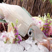 ［完全個室の九州料理店］蔵元個室 薩摩ごかもん 西梅田本店の画像