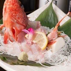 創作和食 龍華庭 ふくろう 熱海 海鮮 海鮮料理 ぐるなび 創作和食 龍華庭 ふくろう 熱海 海鮮 海鮮料理 ぐるなび