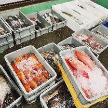 《高知宿毛湾直送》新鮮な旬魚使用