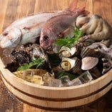 姫路・播磨・播州など近海産を中心に、熟練の目利きが選び抜いた、鮮度抜群の魚介を毎朝仕入れています