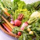野菜は契約農家直送の有機栽培など
鎌倉や三浦の新鮮野菜を使用