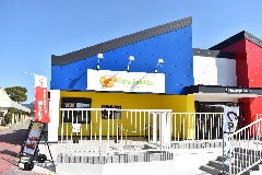 CafePalette