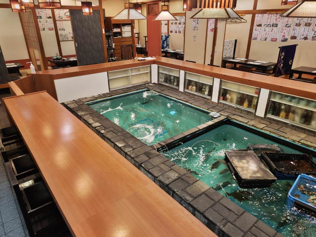 8868 業務用 いけす 生簀 貝 活魚 ホタテ 水槽 本体サイズ 約W1200