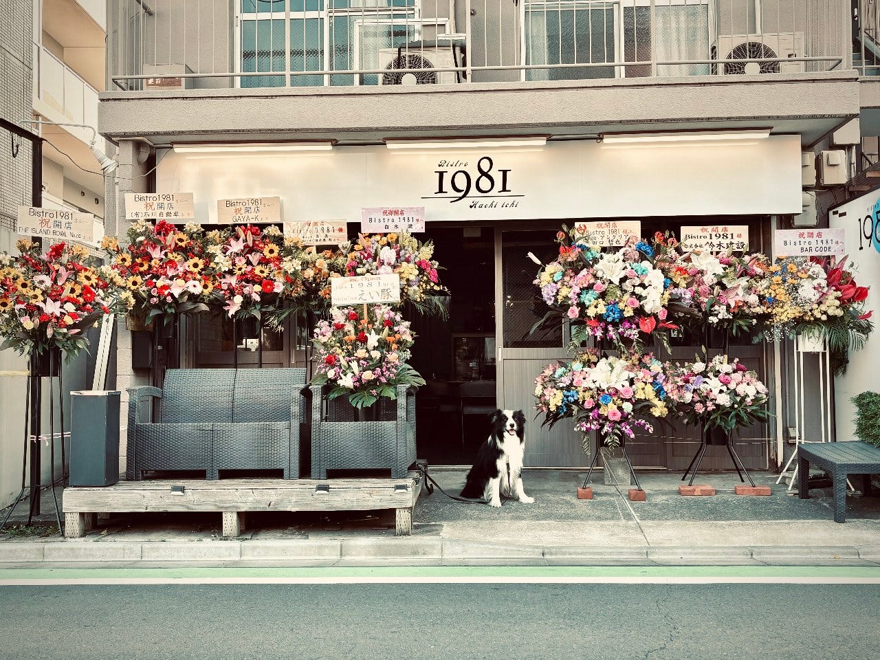 Bistro1981-HACHI ICHI-のURL1