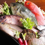 築地産直の鮮魚が美味しく食べられます。