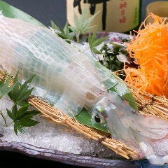 福岡旅行で食事をするなら呼子直送のイカ活き造りは外せません！