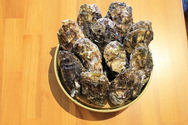 浜焼き 白浜家 糸島市 レストラン 地域共通クーポン Goo地図 浜焼き 白浜家 糸島市 レストラン 地域共通クーポン Goo地図