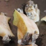 【鉄板焼ディナー】栂尾　toganoo 仙台牛とアワビのコース　