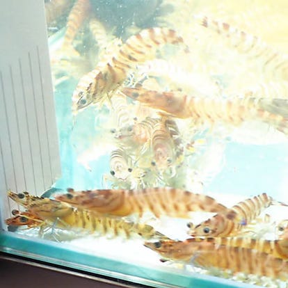 ランチならここ 芦屋の昼食 ご飯でおすすめしたい人気のお店 ぐるなび ランチならここ 芦屋の昼食 ご飯でおすすめしたい人気のお店 ぐるなび