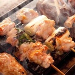 日向鶏や大山鶏などの厳選地鶏を1本90円から多彩にご用意!