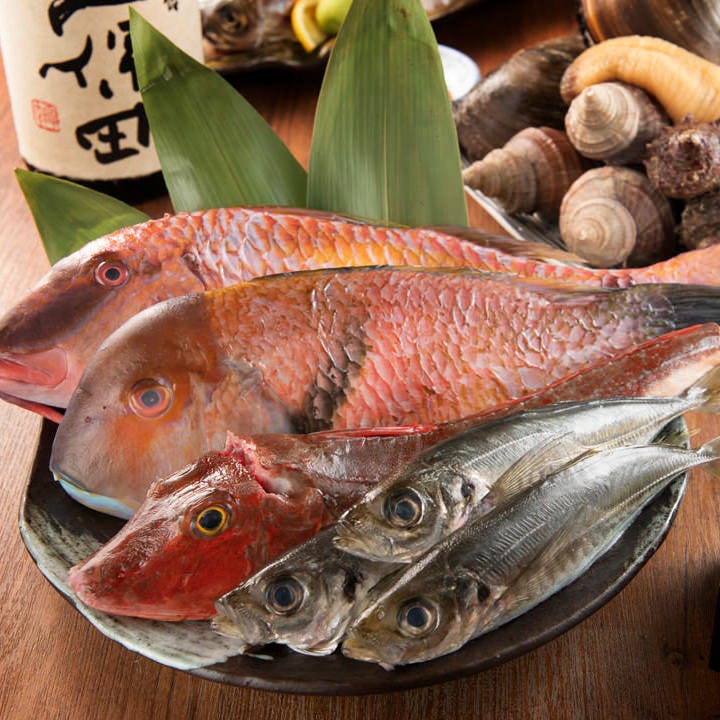 豊洲市場より目利きで仕入れる新鮮魚介はお刺身でどうぞ
